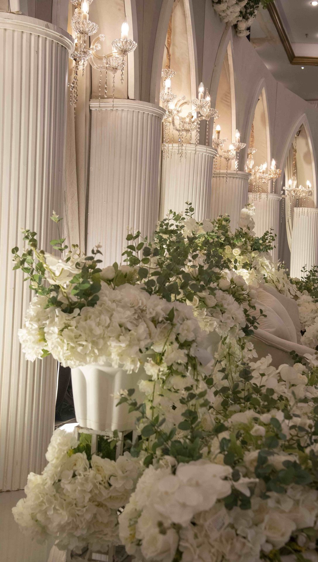 كوش كوشة تنسيقات